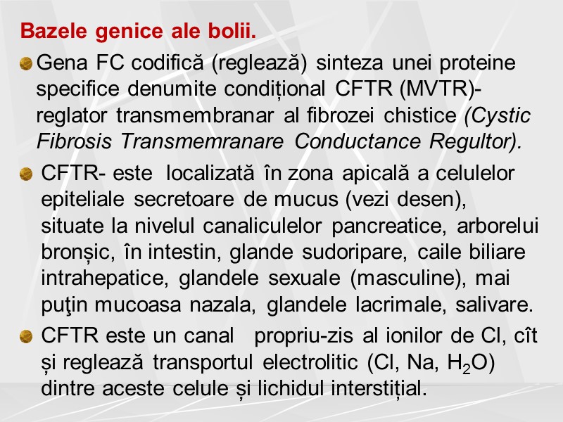 Bazele genice ale bolii. Gena FC codifică (reglează) sinteza unei proteine specifice denumite condițional